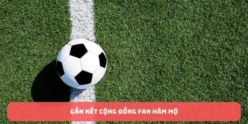 Gắn kết cộng đồng fan hâm mộ
